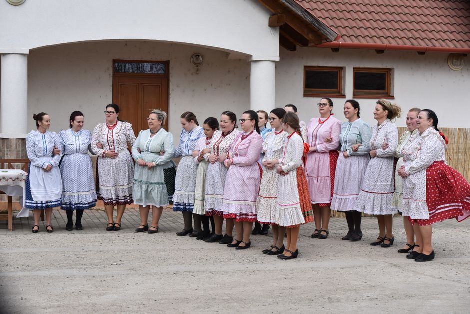 Vzdrževanje